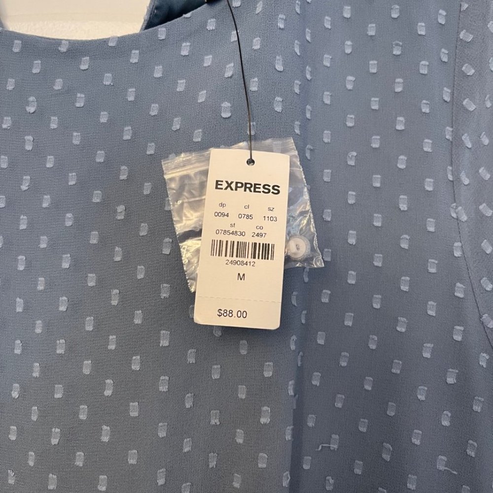 Express Dress - Picture 3 of 3